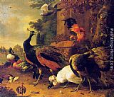 Melchior de Hondecoeter Birds in a Park painting